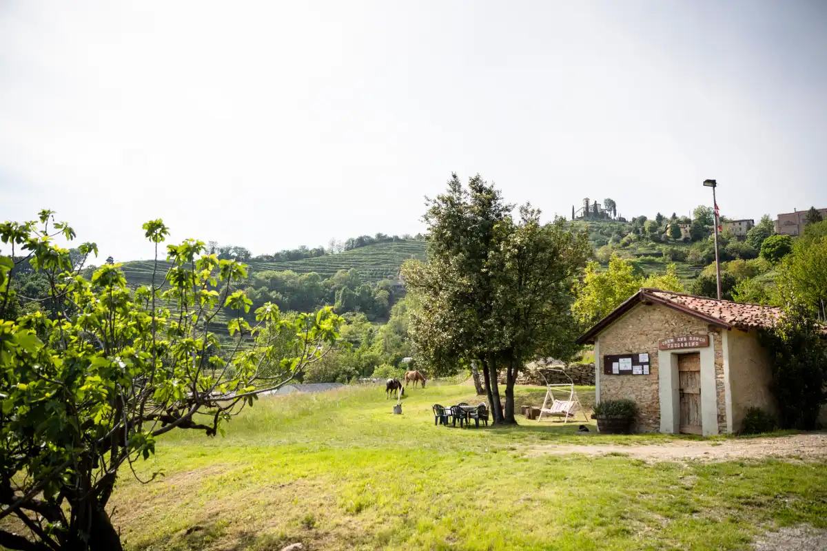 A genuine view of Agriturismo Passonino