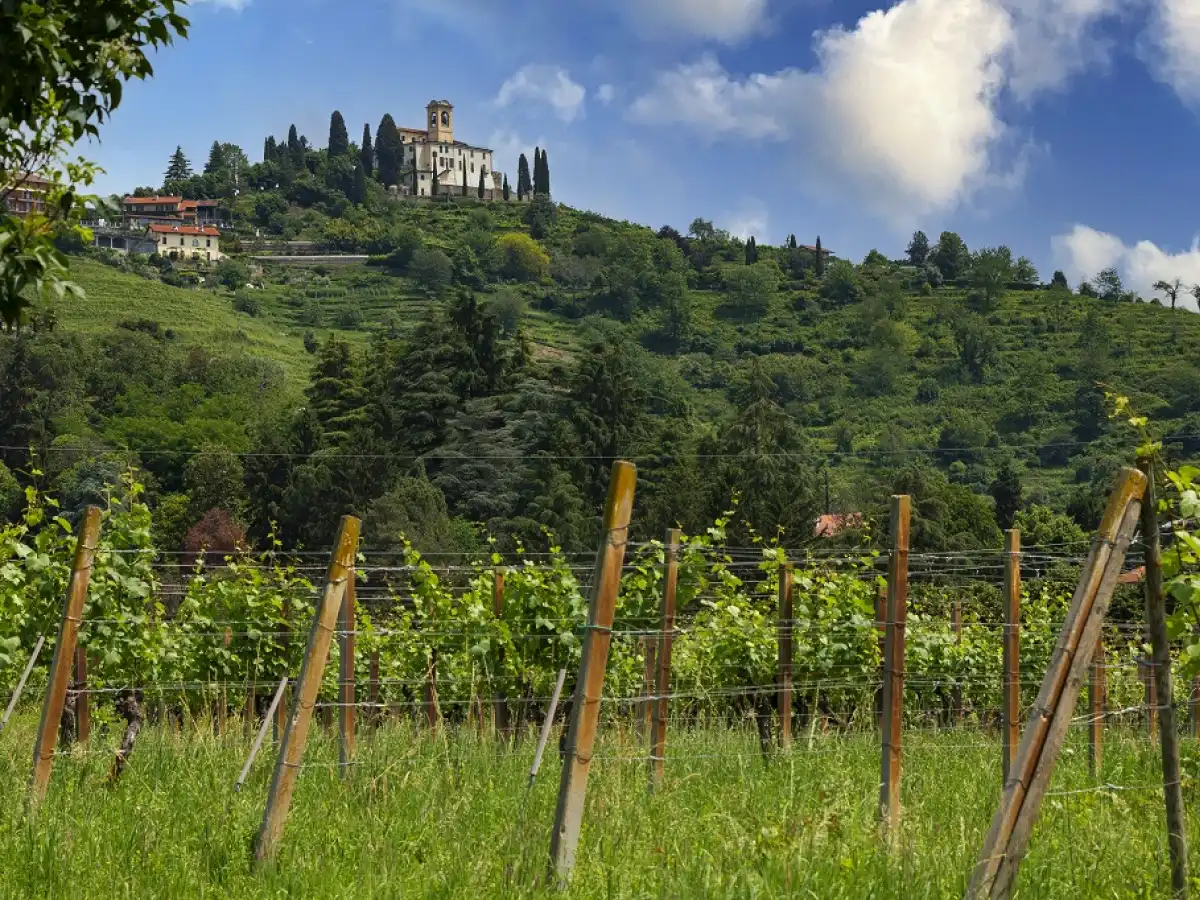 The village among villas and vineyards — Montevecchia: sanctuary and views, near La Corte del Passone