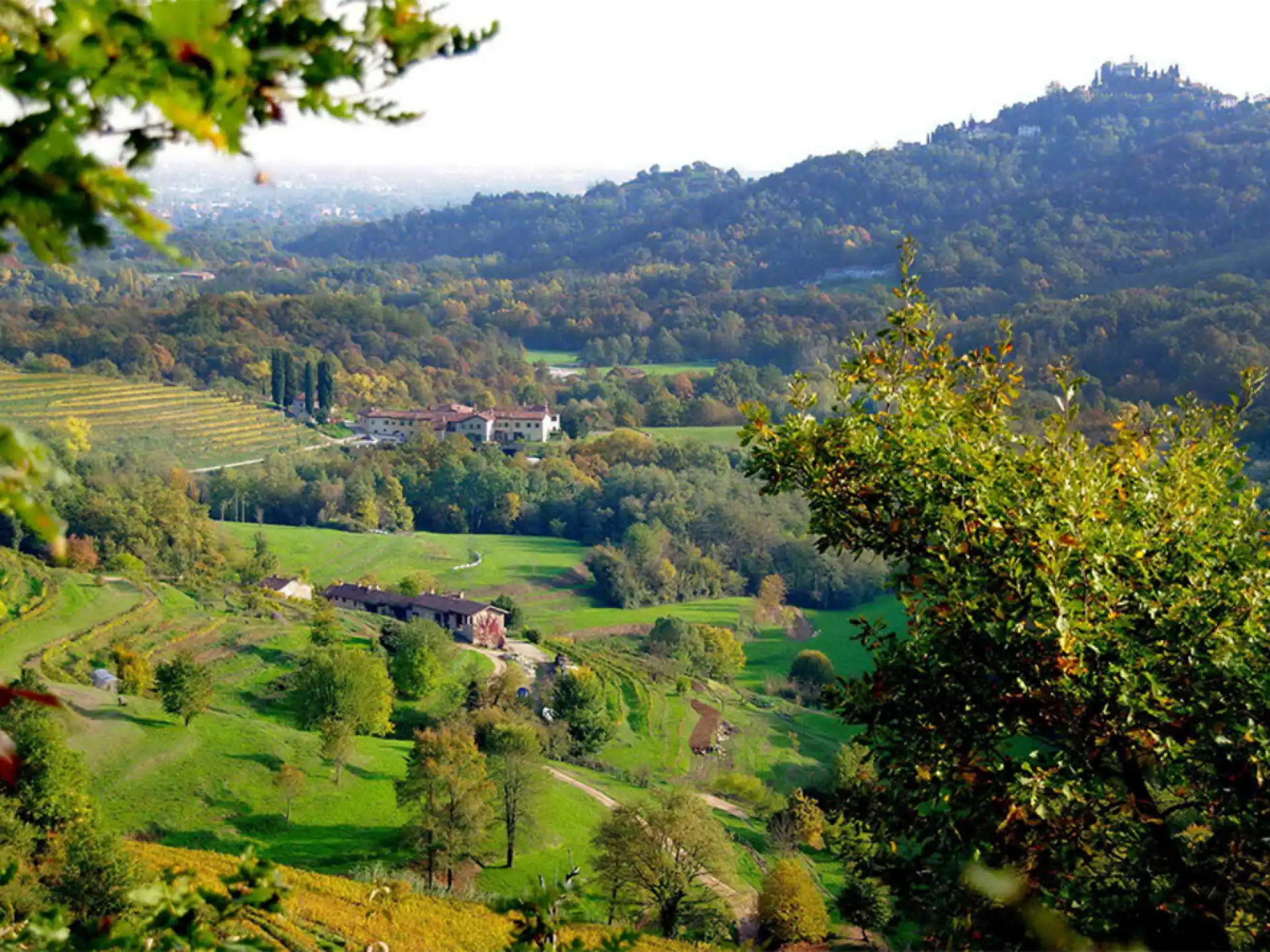 A genuine view of Curone Park and its trails